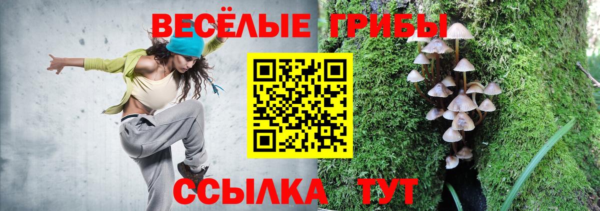 Людиново  Псилоцибиновые грибы MAGIC MUSHROOMS  Вход с VPN 